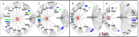 Image HyperbolicTree.gif